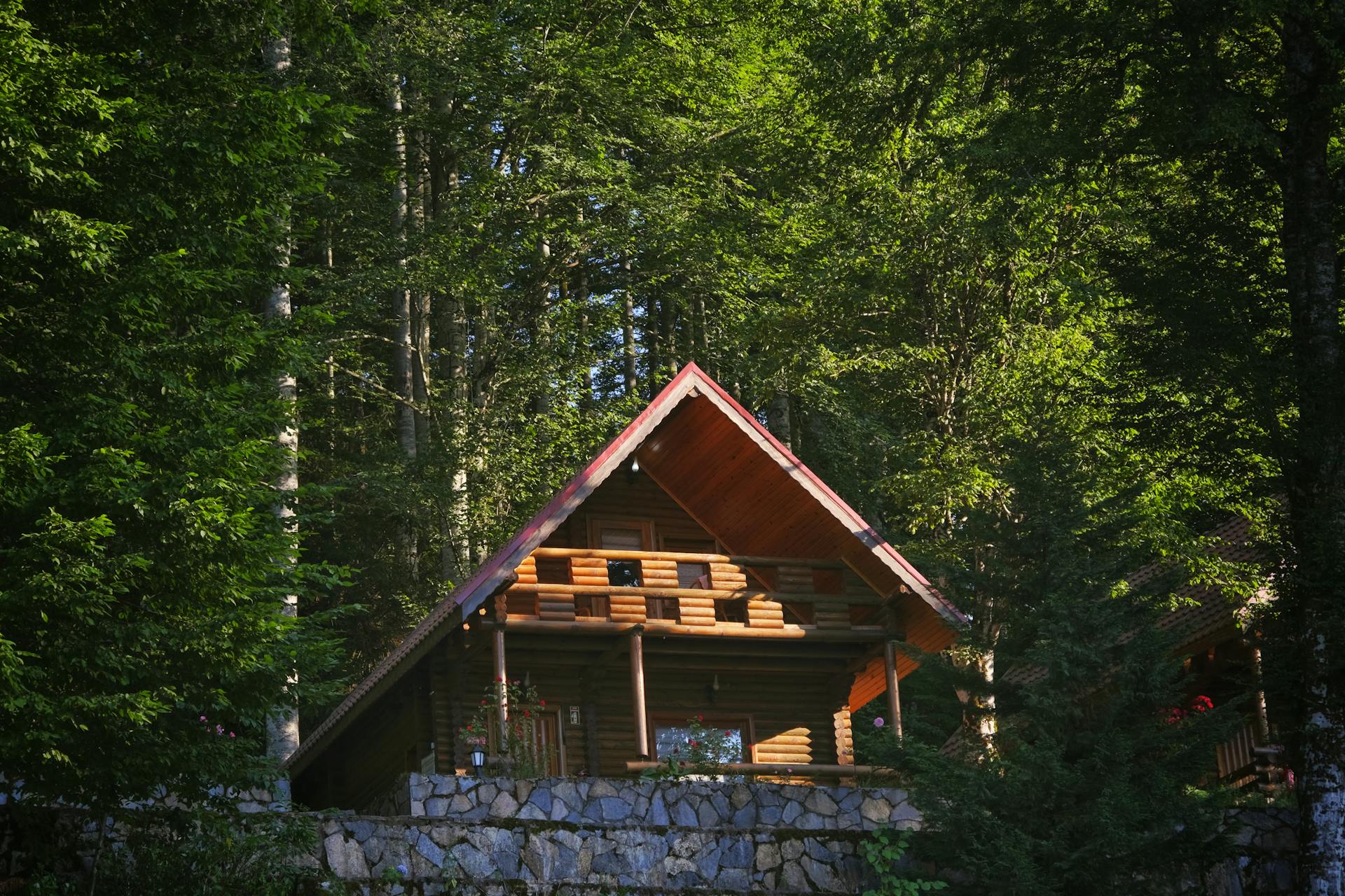 Jauki medinė sodyba ant ežero kranto apsupta miško rudenį.